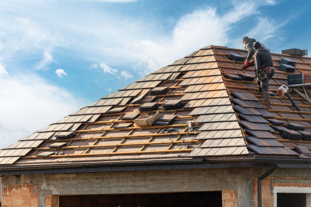 Best Roof Ventilation Installation  in Holt, AL